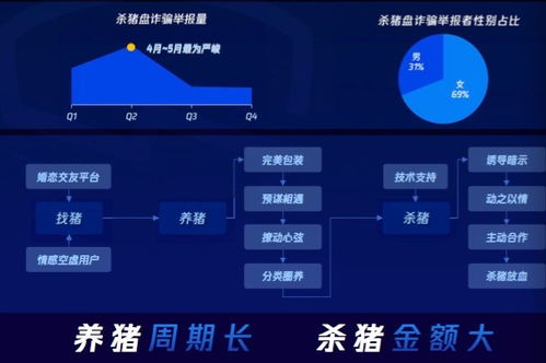 警惕网络陷阱，揭秘澳门六哥直播网站视频最新免费版的真相